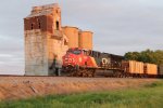 CN 3243